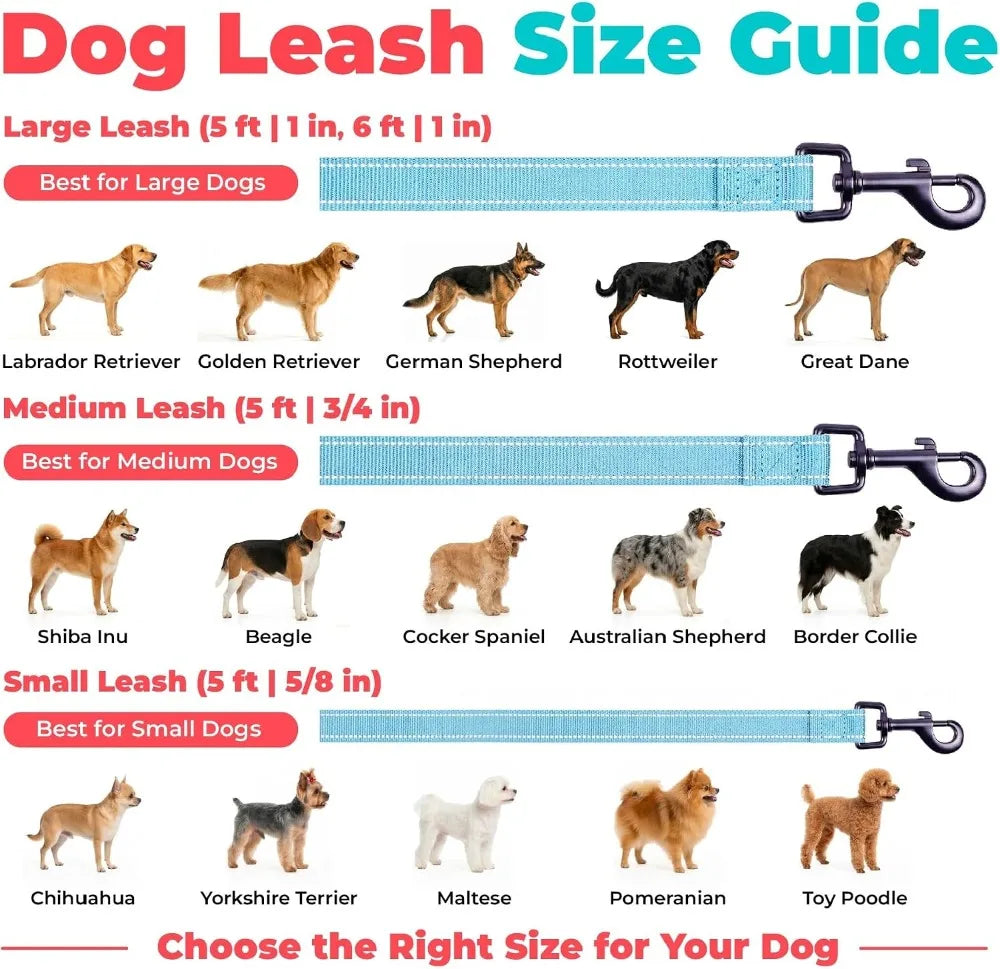 Reflective Dog Leash with Neoprene Handle, Heavy Duty Nylon, for Small to Large Dogs, Walking Running Training, Baby Blue, S