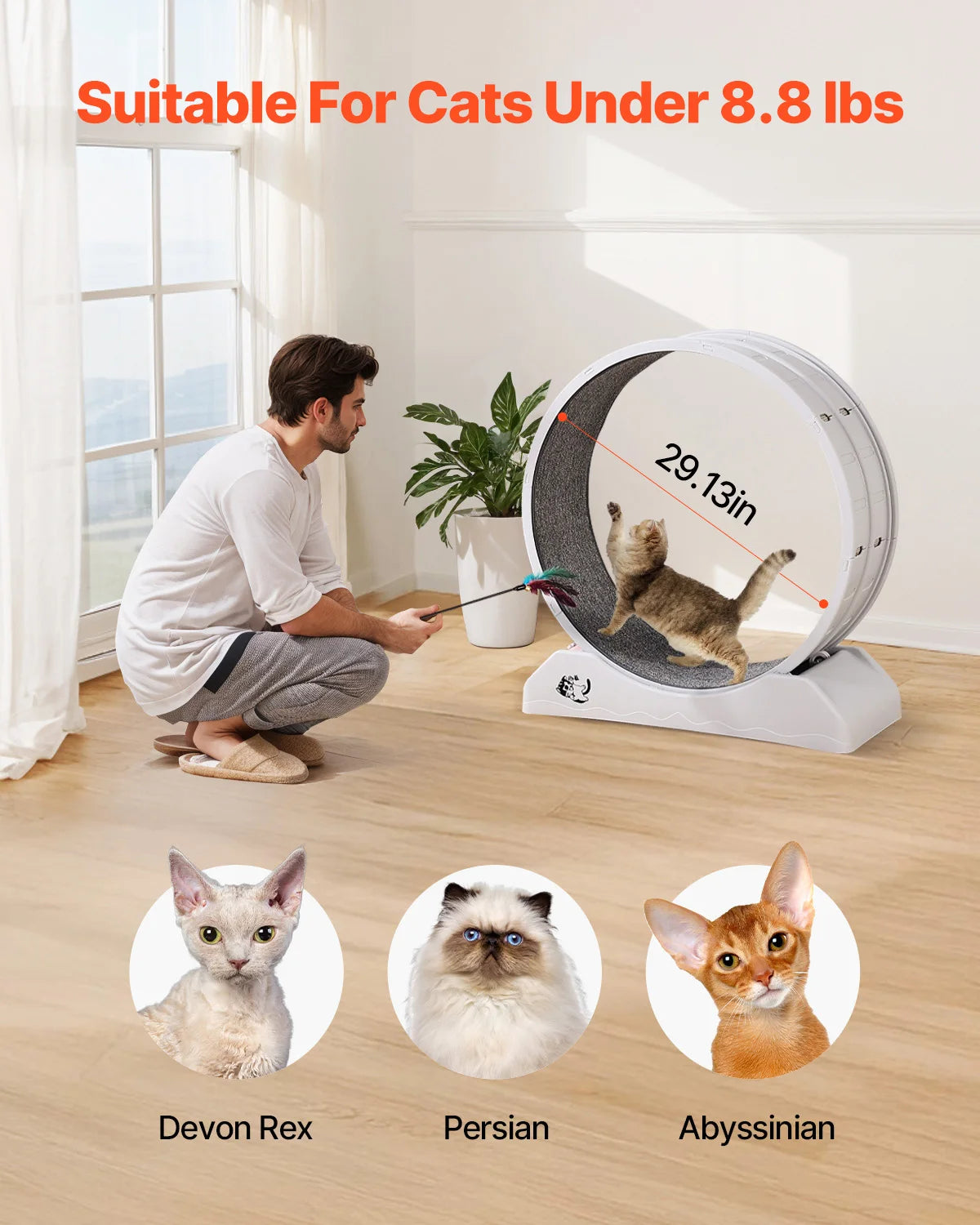 Cat Exercise Wheel 31.5in Large Wheel with Secure Brake & Carpeted Runway Quiet Operation Treadmill for Pets Weight Loss
