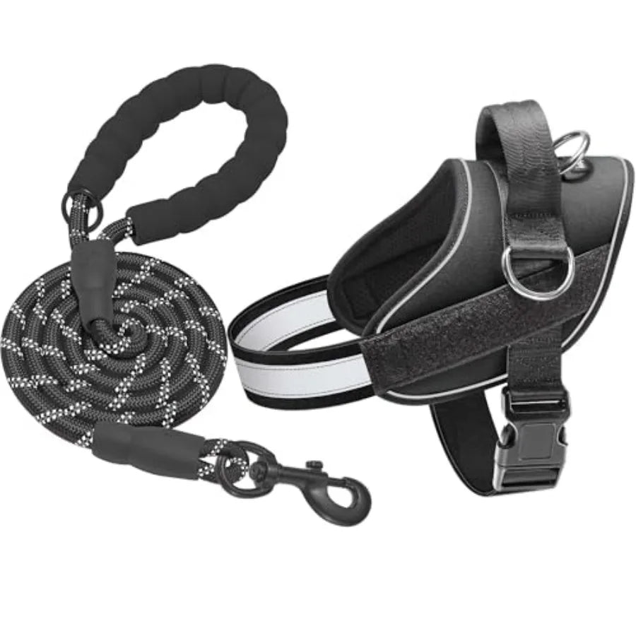 Essential Dog Harness, No Pull Pet Vest with 3 Leash Clips, No Choke, Reflective, Adjustable and Padded, for Easy Walking
