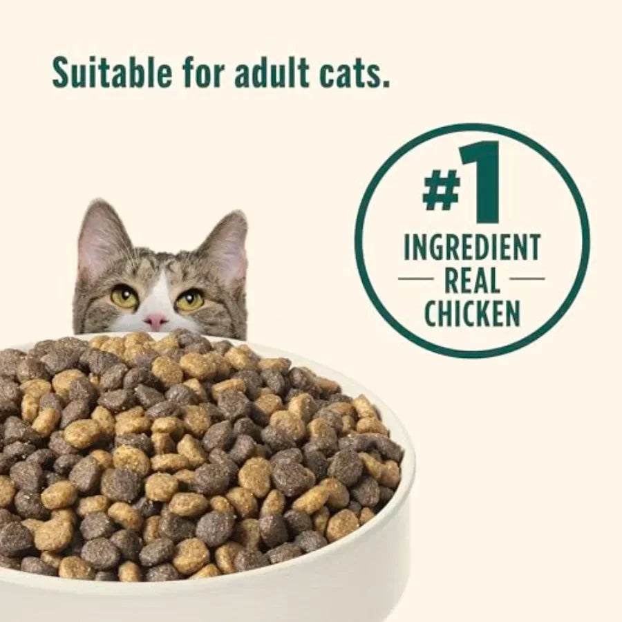 Indoor Complete Chicken, Lentils, and Salmon Recipe Dry Cat Food 14 lb. Bag, Packaging May Vary
