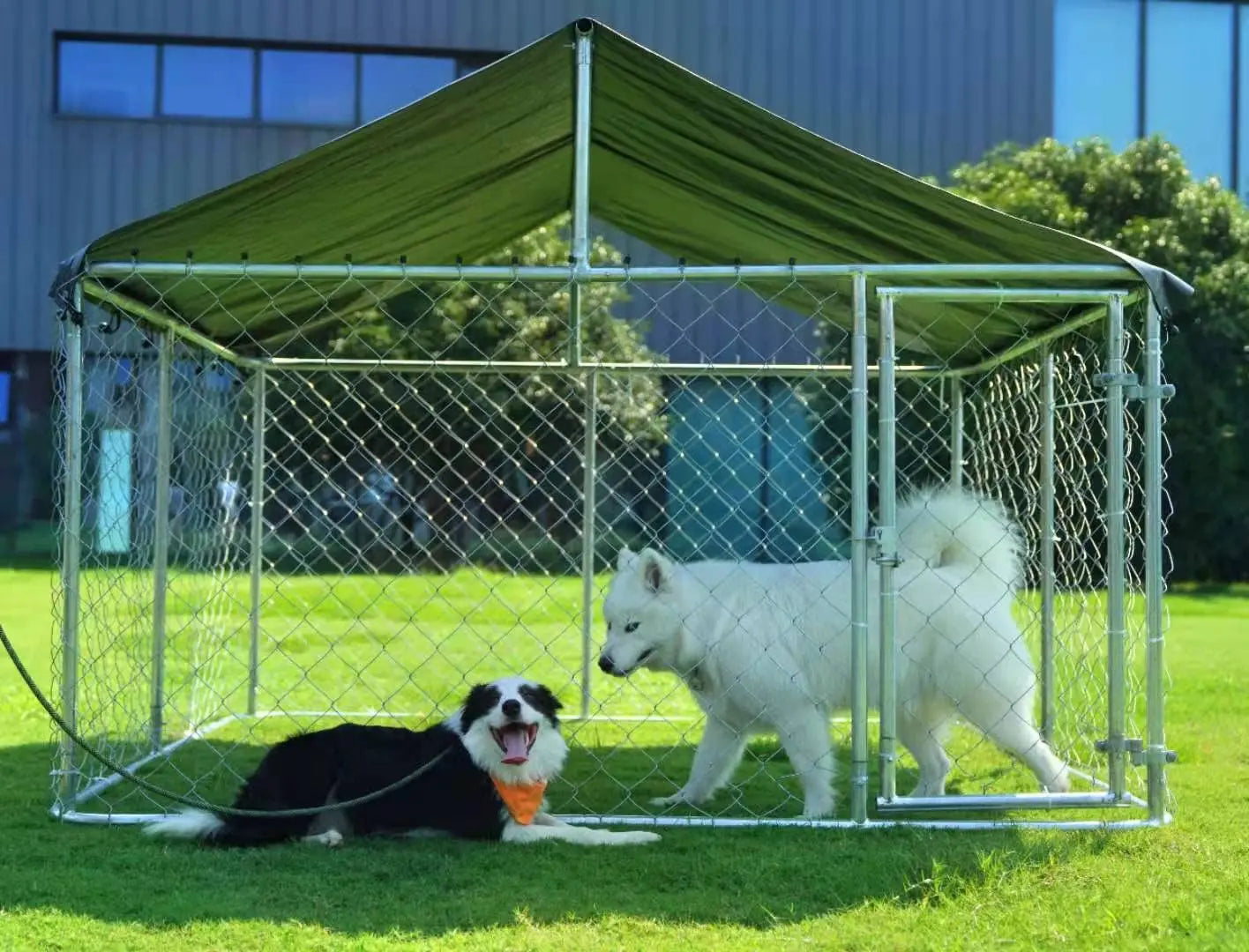 Outdoor Dog Enclosure Heavy Duty Dog Kennel House Mesh Dog Big Cage Pet Kennel Steel Fence with Secure Lock, Customized