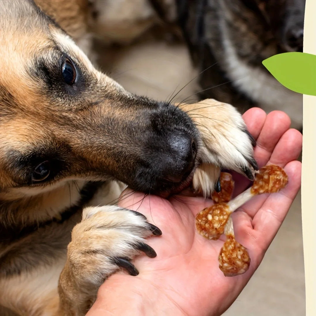 Dog Chicken Dumbbells, Small Dogs, Medium Pets, And Large Breeds Chicken Dog Snacks, Natural Dog Snacks, Rice Dog Snacks, Healthy, High Protein, Long-lasting, Dog Training Reward Snacks