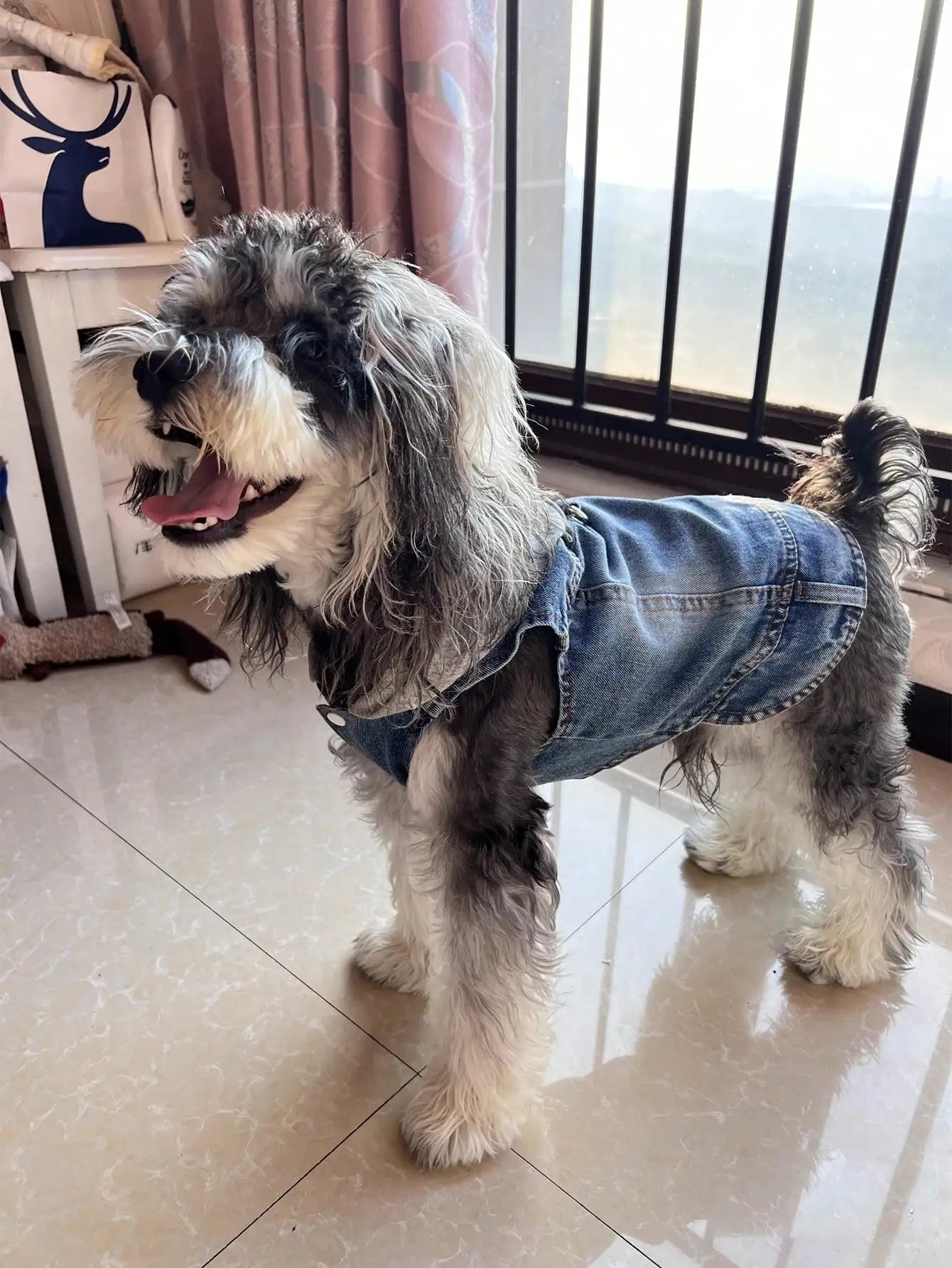 1pc New Hooded Harness Vest, Suitable For Small Dogs Like Poodle, Bichon Frise, Teddy, Spring/Autumn Pet Clothes