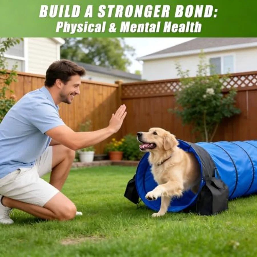 28in Dog Tunnel for Large Dogs, 10ft Heavy Duty Dog Agility Training Equipment with 3 Sandbags 4 Stakes, Portable Carry Bag