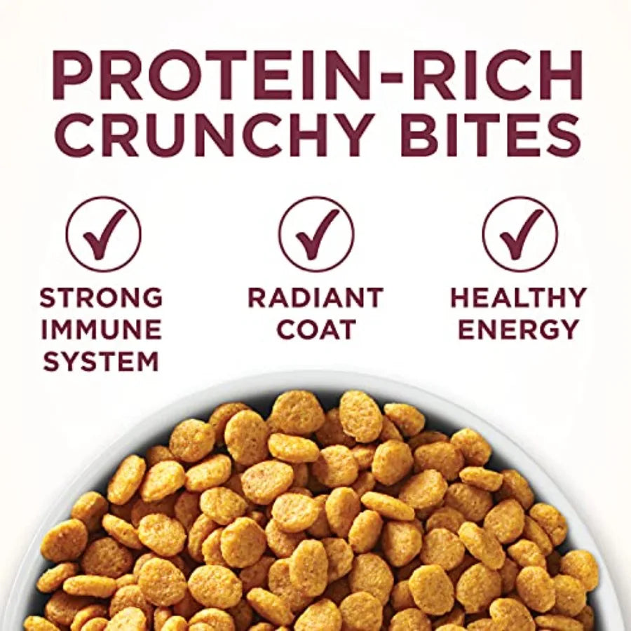 High Protein Dry Cat Food, +Plus Urinary Tract Health Formula - 16 lb. Bag