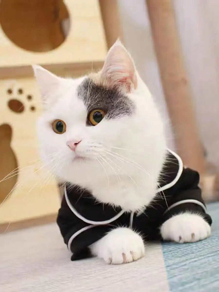 Cute Pet Clothes, Dog & Cat Pajamas'