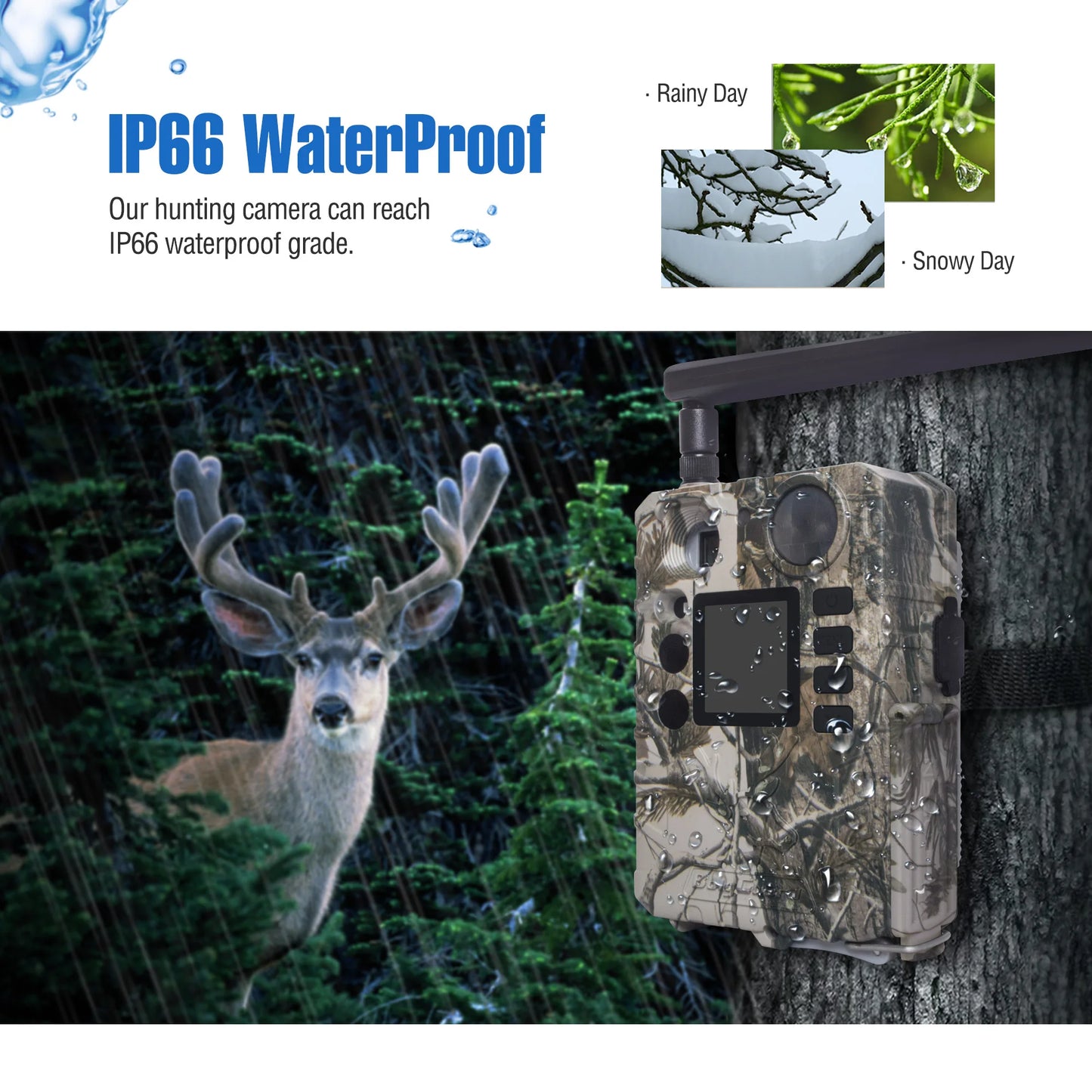 BG310-M Cellular Trail Hunting Camera 4G Wireless 18MP/720P Black IR 940nm Invisible Outdoor Wildlife Security Camera