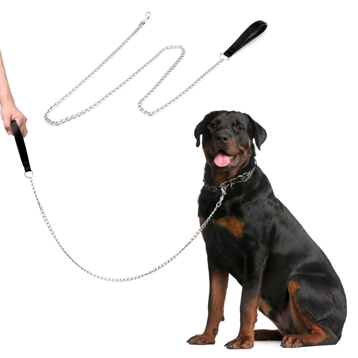Collars And Leashes