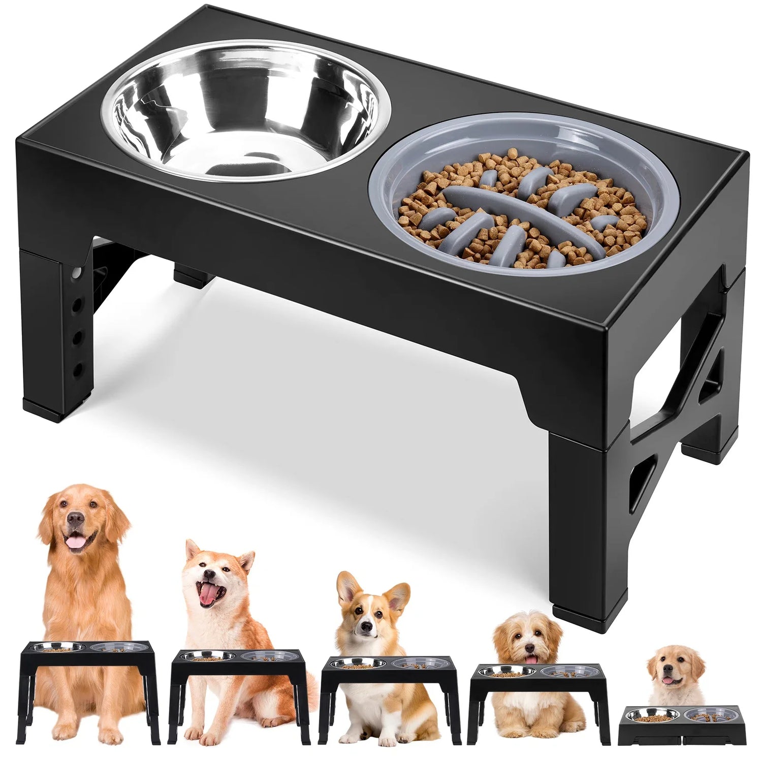 Bowls and Feeding
