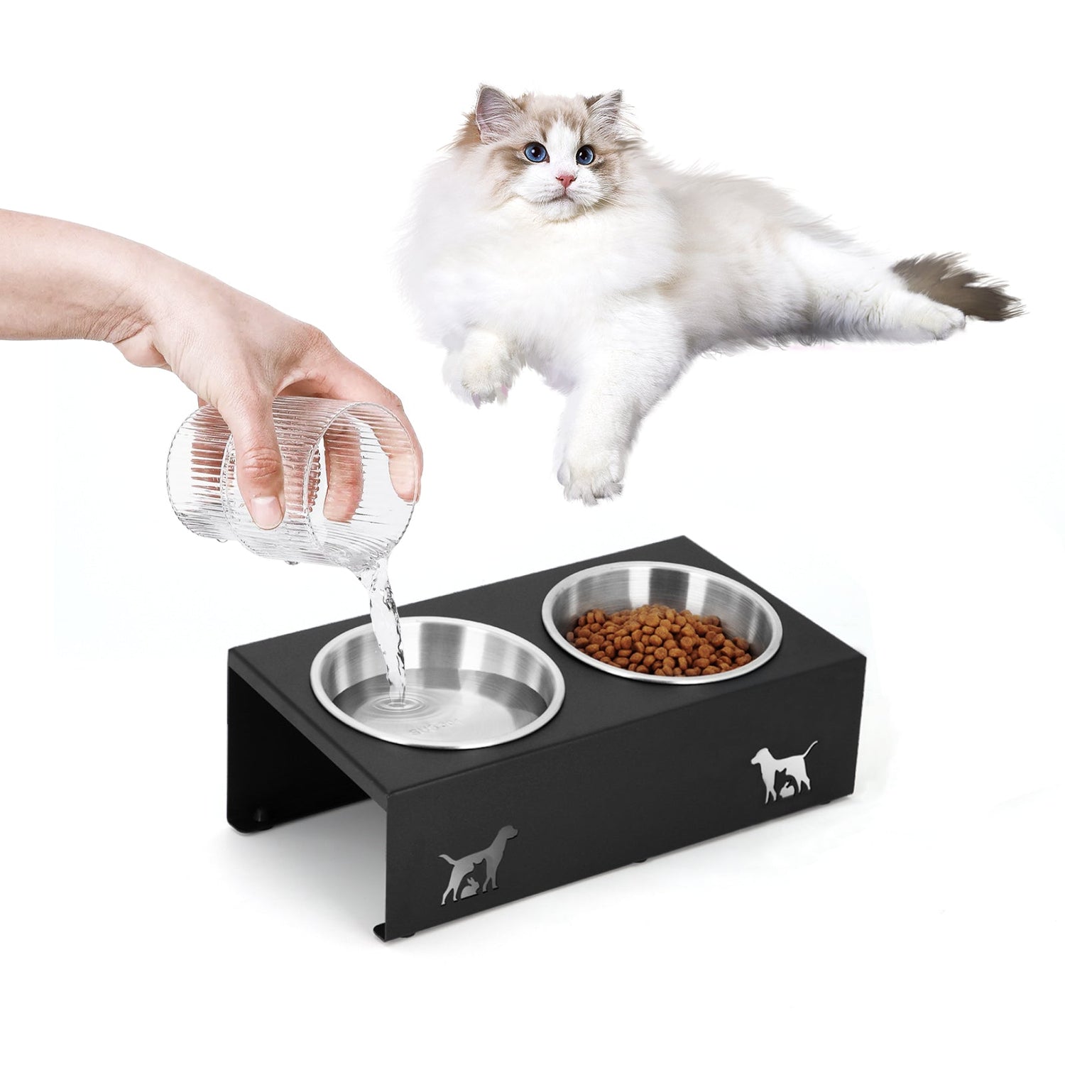 Cat Food