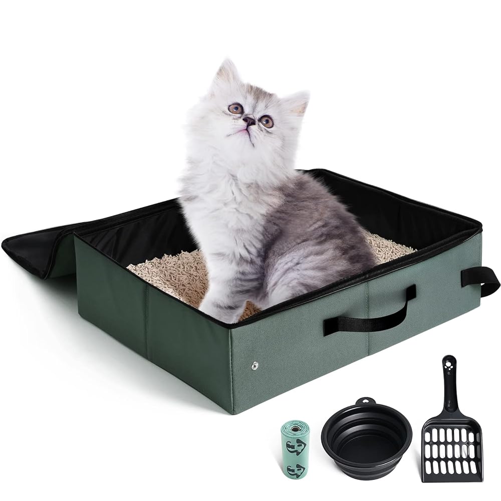 Cat Litters