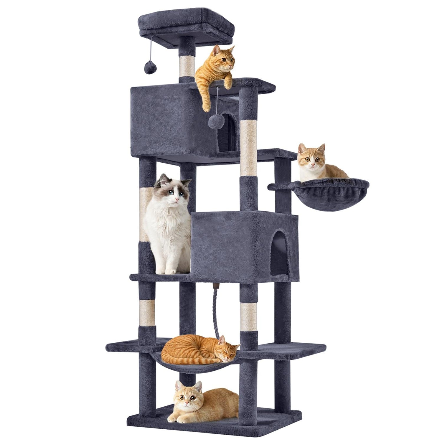 Cat Trees