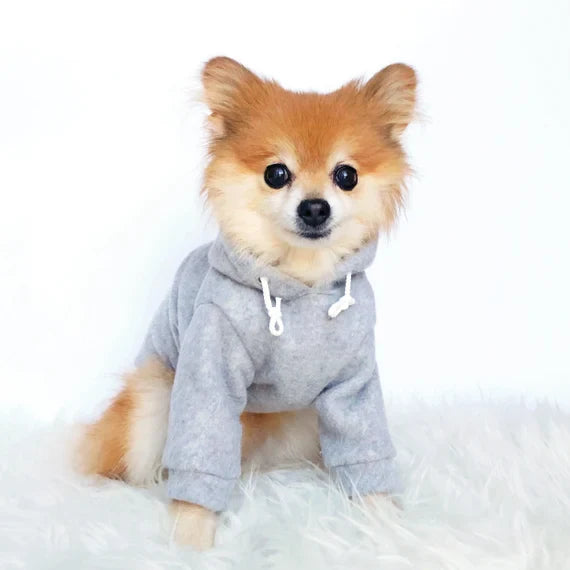 Dog Clothes