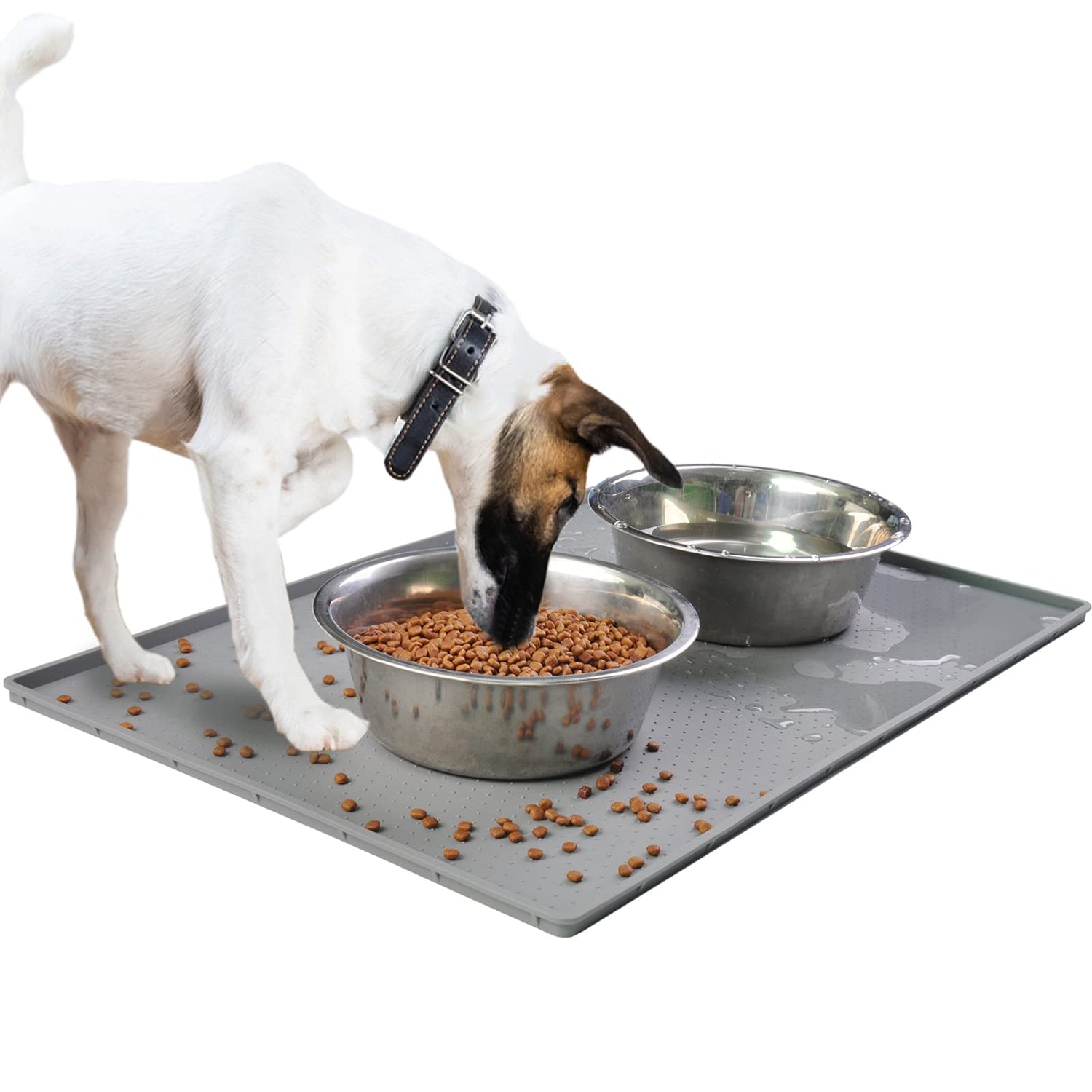 Dog Food and Treats