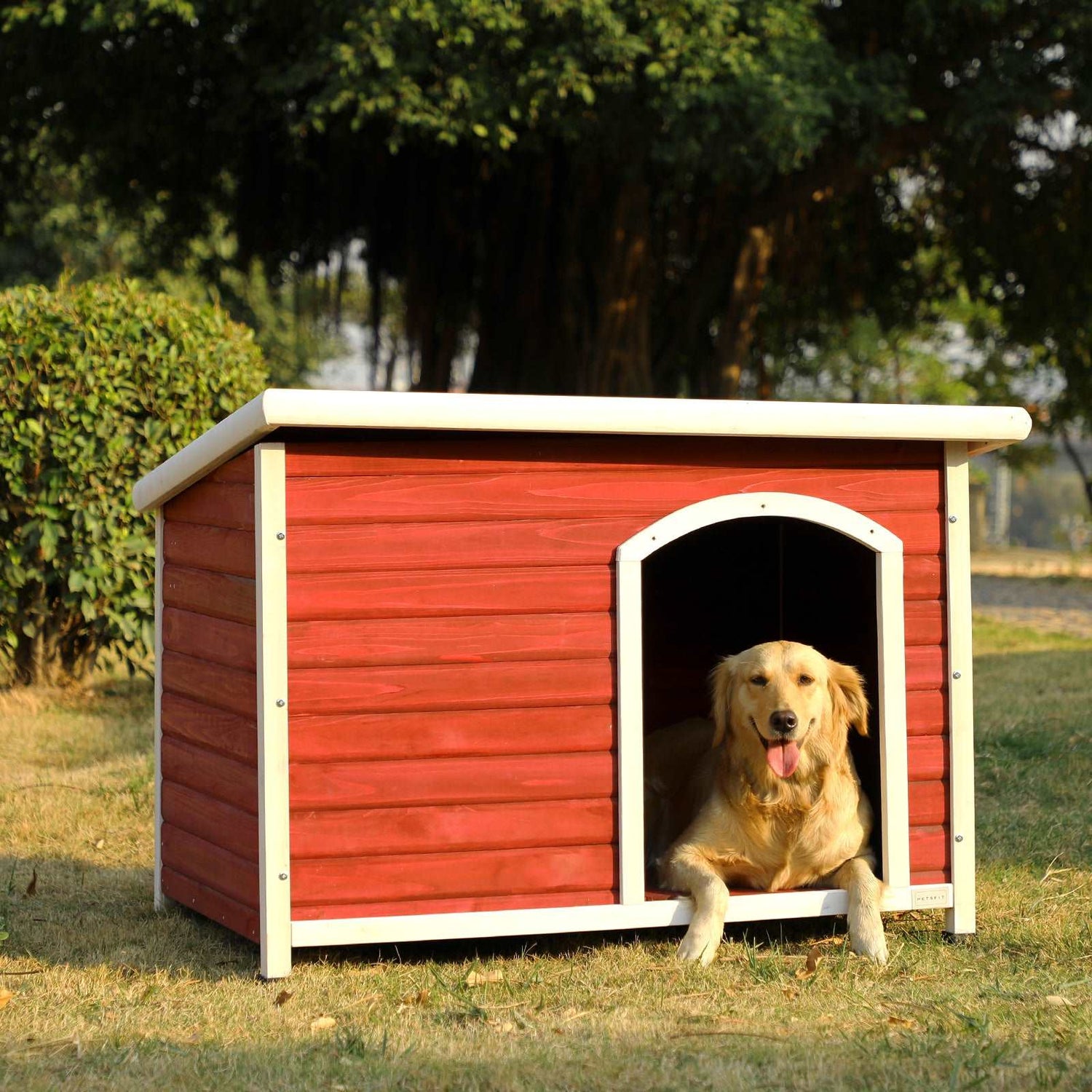 Dog Houses