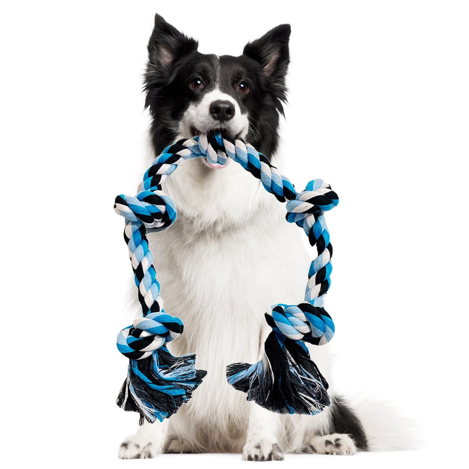 Dog Rope Toys