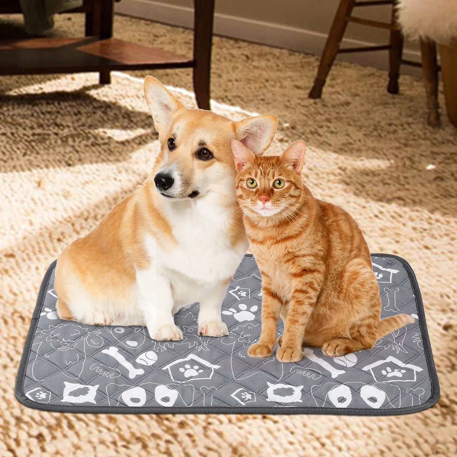 Pet Pads