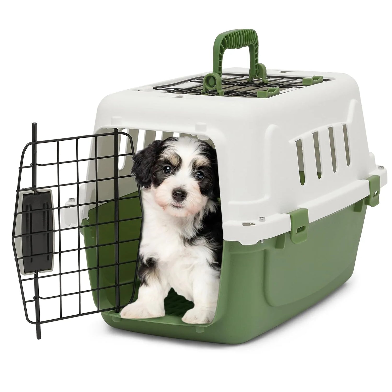 Pet Travels