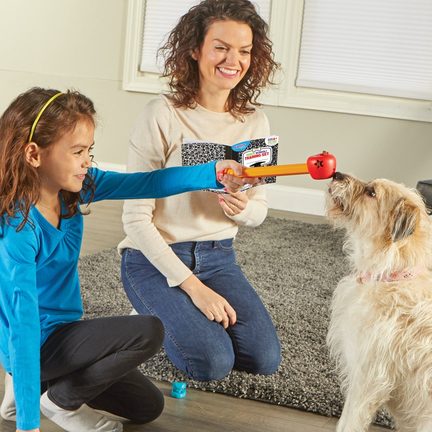 Pet Training