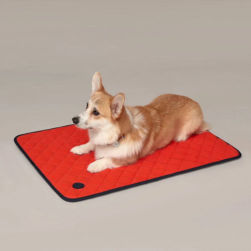 Dog Mats