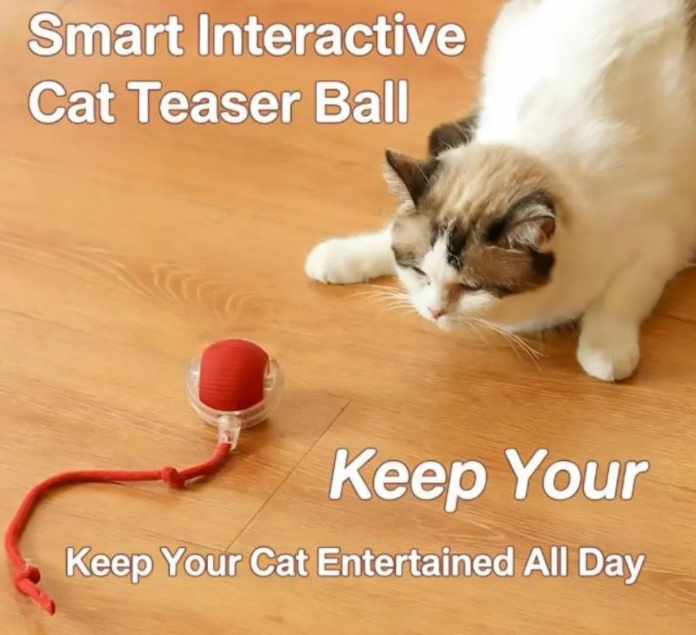 Cat Toy Launcher Interactive Cat Toy Cat Ball Shooter Interactive Cat Ball Toy Plush Ball Shooter Gun for Indoor Cats