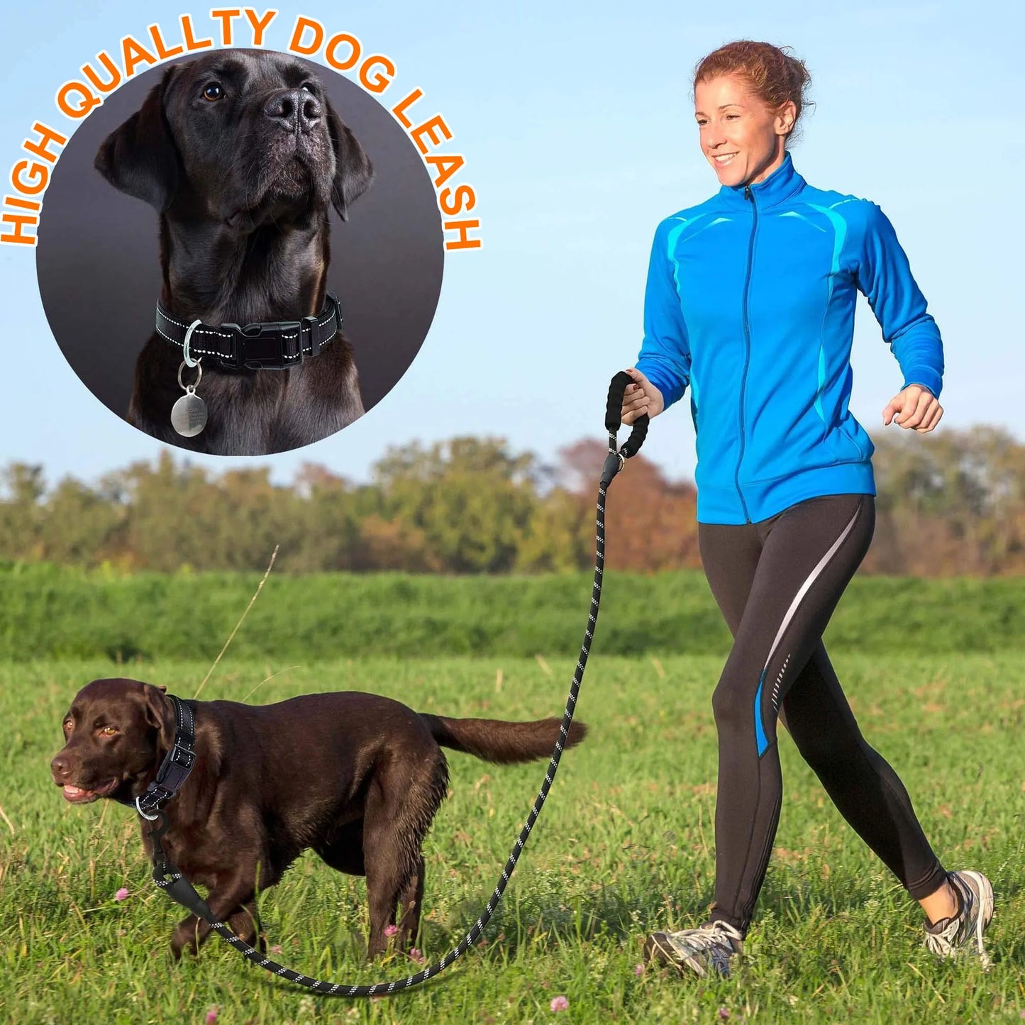 Dog Collar Nylon Dog Rope With Comfortable Padded Handle And Highly Reflective Threaded Cord For Medium And Large Dogs Strong