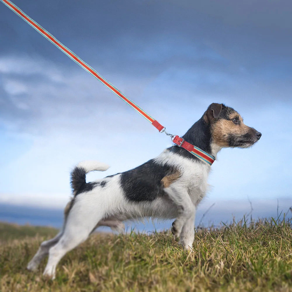 Adjustable Dog Collar and Leash Set for Small Medium Large Dogs (Collar+Leash XS-Neck 12”-32”)