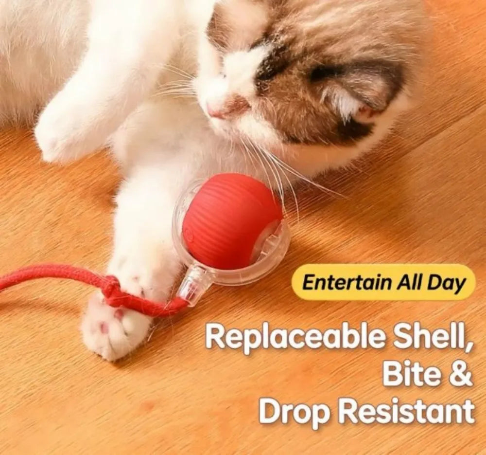 Cat Toy Launcher Interactive Cat Toy Cat Ball Shooter Interactive Cat Ball Toy Plush Ball Shooter Gun for Indoor Cats
