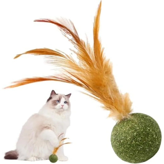 Interactive Catnip Feather Ball Toy for Kittens - Edible Safe Chew Teeth Cleaning Fun Natural Catnip Filled Soft Feather Texture