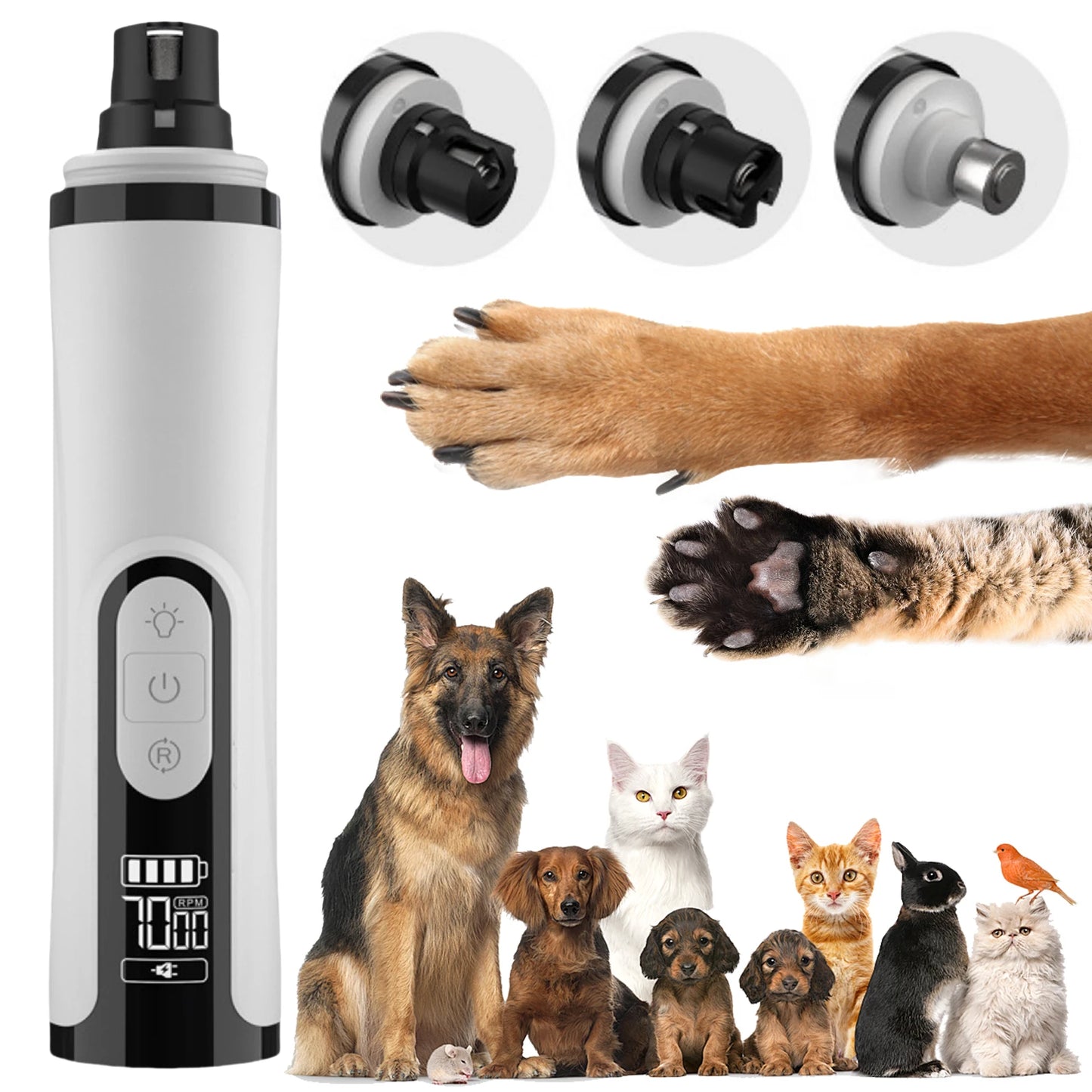 Electric Dog Nail Grinder with 2 LED Lights Pet Nail Trimmer Cat Nail Grinder Suitable for Small Middle Large Dogs and Cats