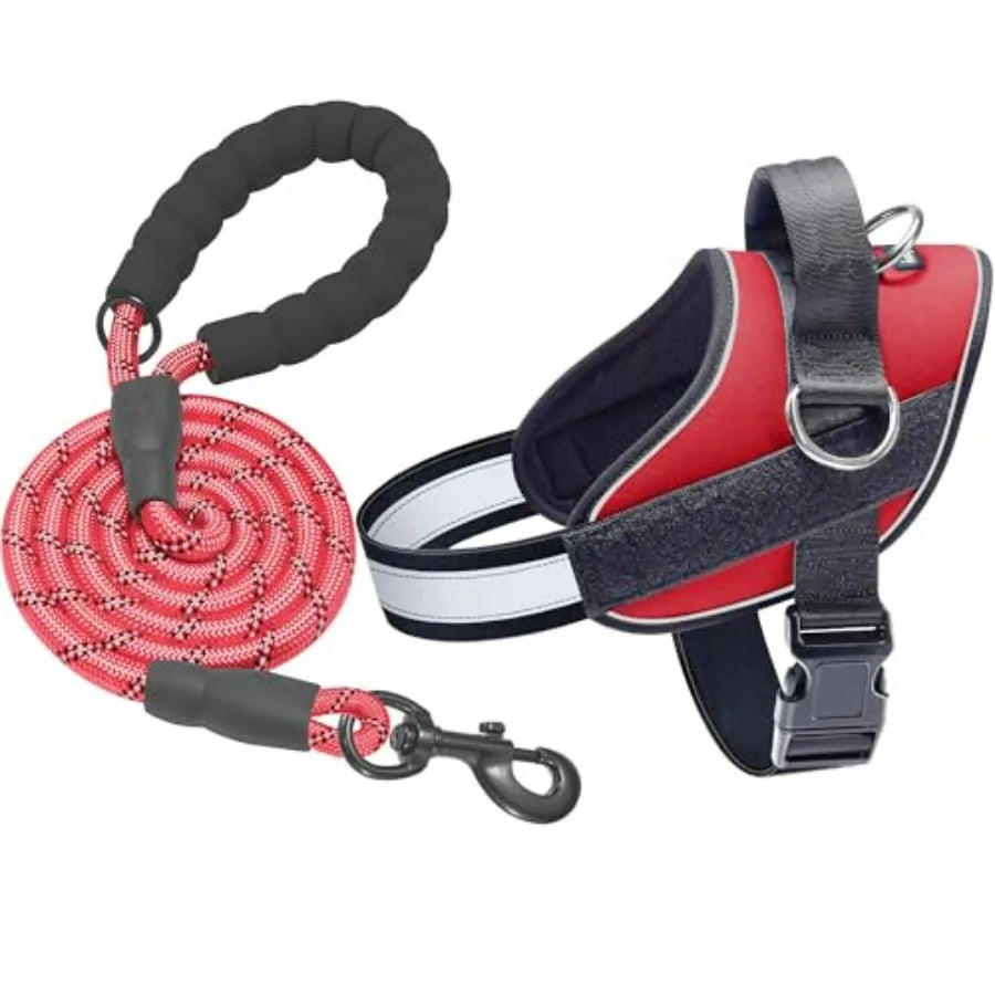 Essential Dog Harness, No Pull Pet Vest with 3 Leash Clips, No Choke, Reflective, Adjustable and Padded, for Easy Walking