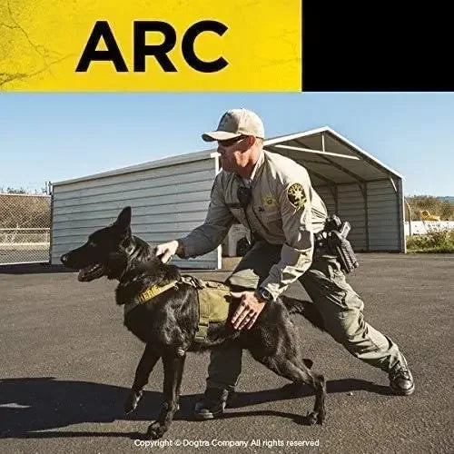 ARC Slim Ergonomic 3/4-Mile Remote Dog Training E-Collar with 127-Level Precise Control via LCD Screen