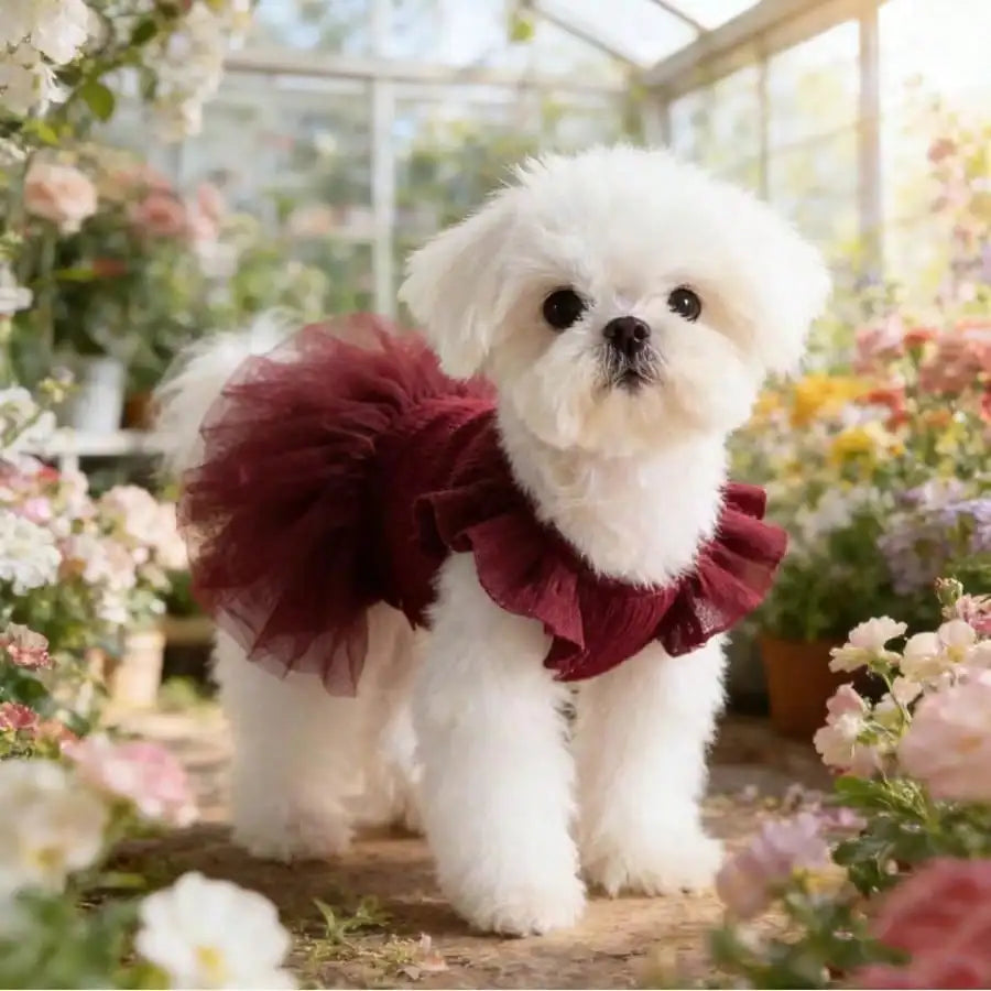 Pet Dog & Cat Ruffled Sleeve Princess Dress, For Small Dogs Like Poodle, Bichon Frise, Pomeranian, Maltese, Yorkshire Terrier Etc., Birthday Party Outfit, Spring/Summer