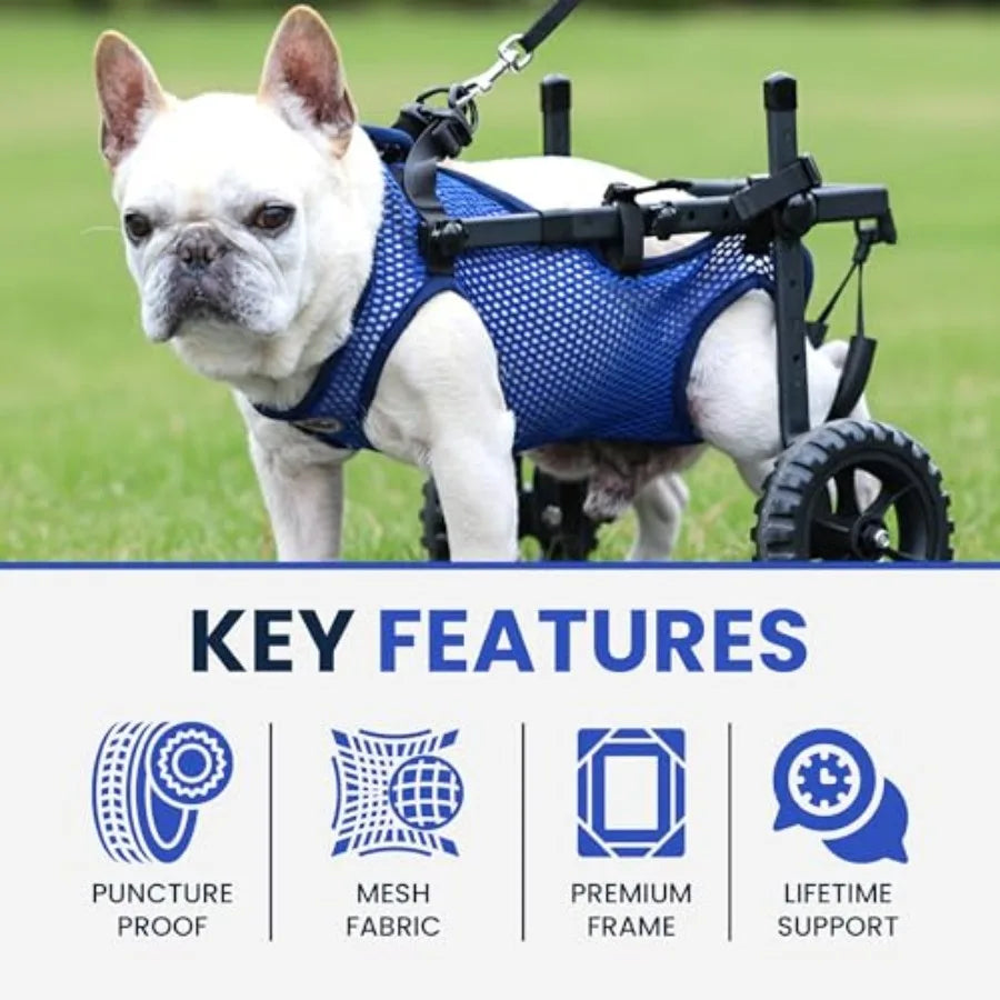 Dog Wheelchair for Back Legs, Dog Wheelchair Cart, Doggy/Cat Wheelchairs with Disabled Hind Legs Walking, Mobility Aids for Small Dog