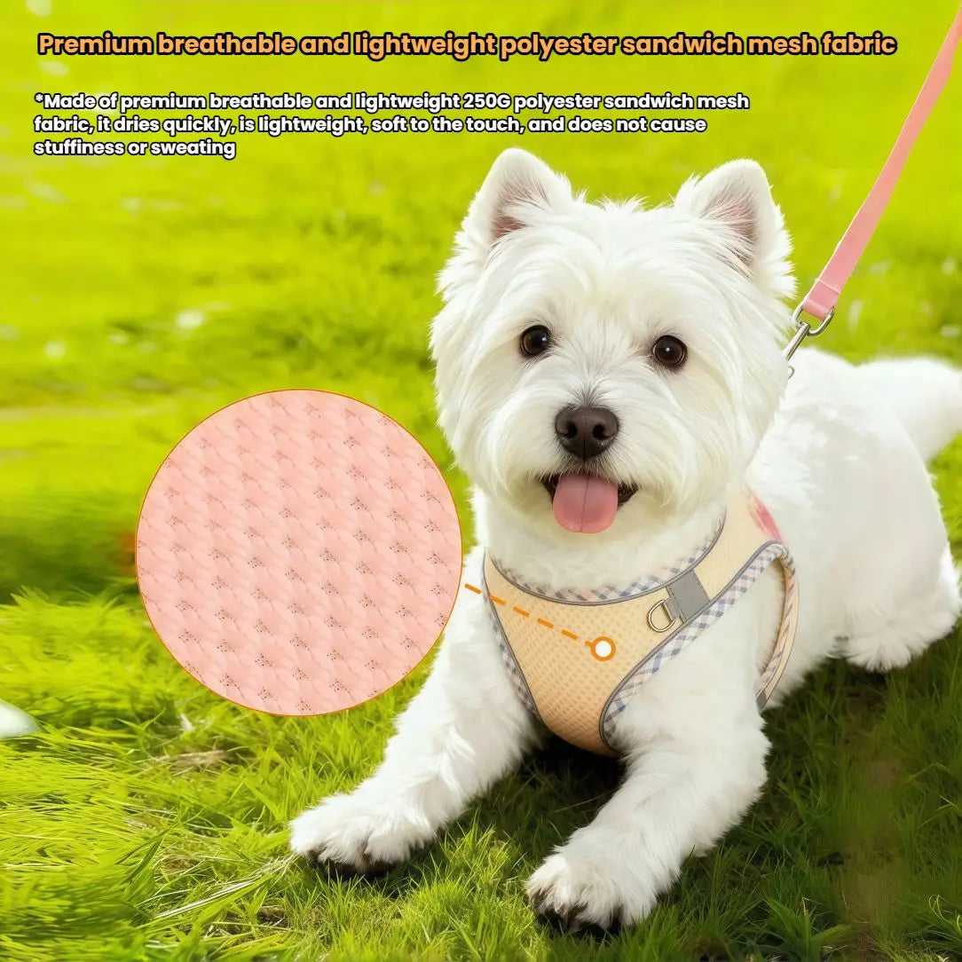 Pet Dog Harness and Leash Set for Small Medium Dog Outdoor Walking Reflective Adjustable Cat Vest Harness Chihuahua Pet Supplies