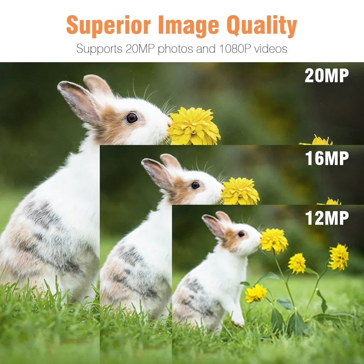 Mini301 Trail Hunting Camera 24MP 1080P Full HD Video 0.3s Fast Trigger 22PCS 850nm IR LEDs Night Vision IP65 Waterproof Wildlife Scouting Monitor Camera