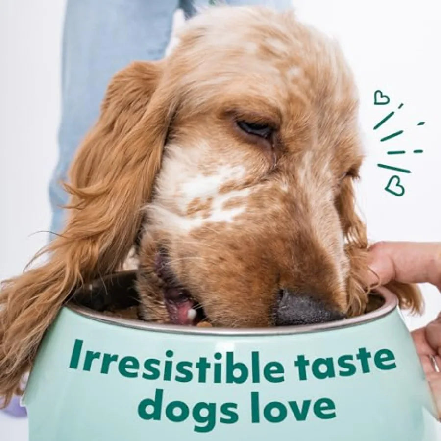 Wet Dog Food Small Breed Variety Pack - Grain Free Recipe High Protein Tender Morsels in Aspic Made with Natural Ingredients