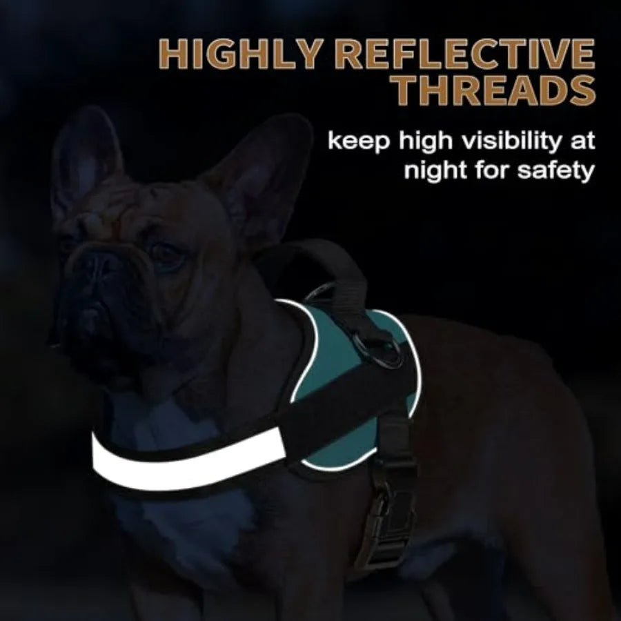 Essential Dog Harness, No Pull Pet Vest with 3 Leash Clips, No Choke, Reflective, Adjustable and Padded, for Easy Walking