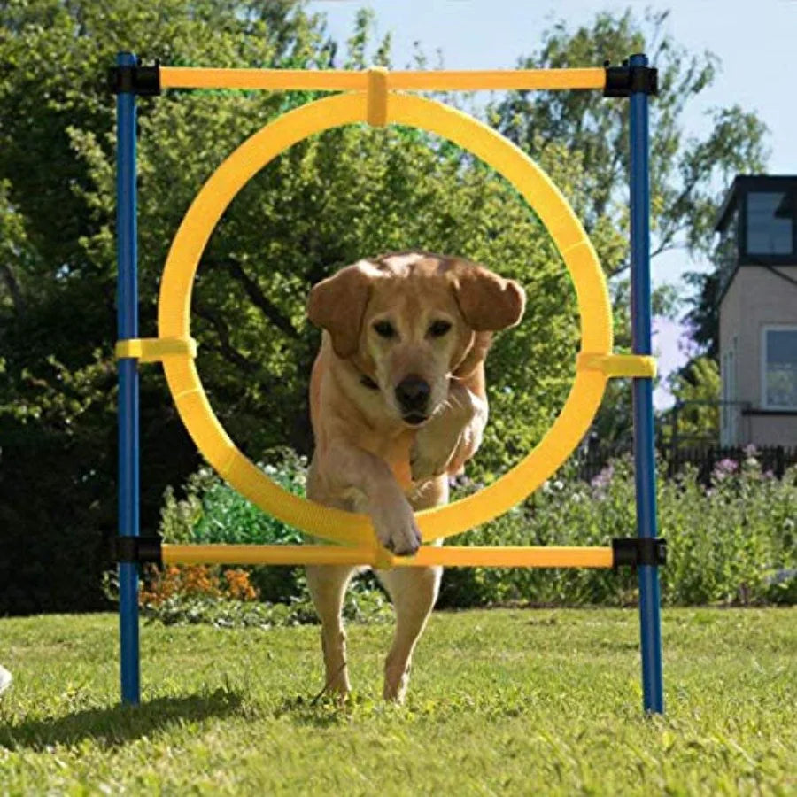 Pet Dogs Outdoor Games Agility Exercise Training Equipment Pet Training Ajustable Height Jumping Ring