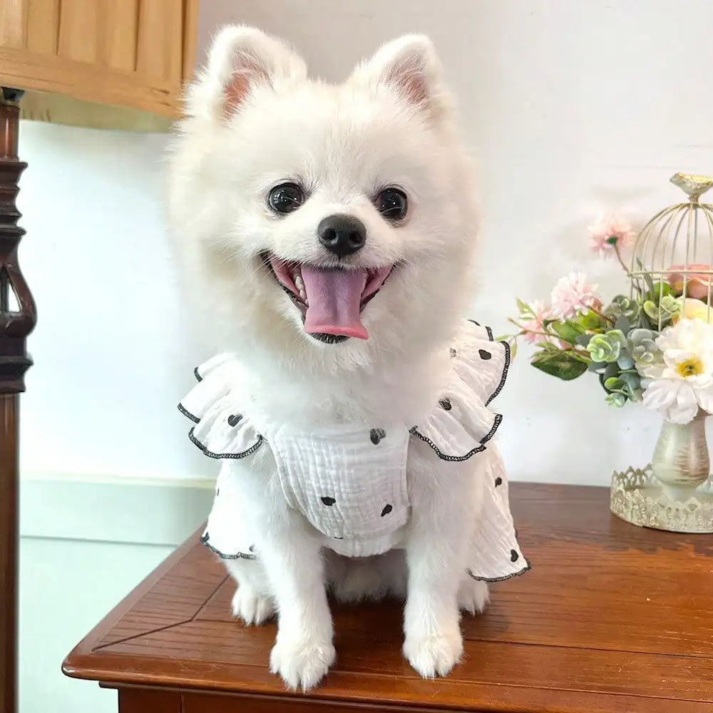 Pet Dresses And Supplies For Spring And Summer, Suitable For Dogs And Cats Like Teddy, Bichon Frise, And Pomeranian. Features Include Cute Love-Themed Dog Outfits.