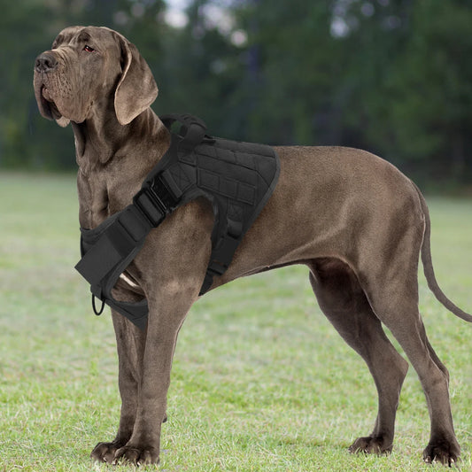 Tactical Dog Harness Collar And Leash Set Adjustable Training Walking Vest For Medium Large Dogs German Shepherd Malinois Outdoor Use