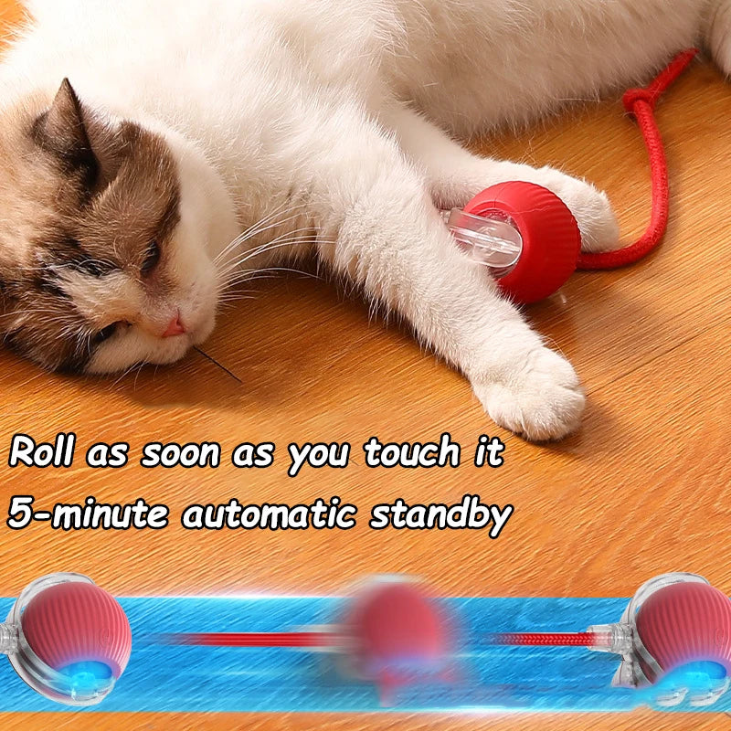 Interactive Ball Toys Automatic Rolling Ball Faux Tail Rechargeable Smart Pet Electric Toy Dog Cat Training Imitate Mouse