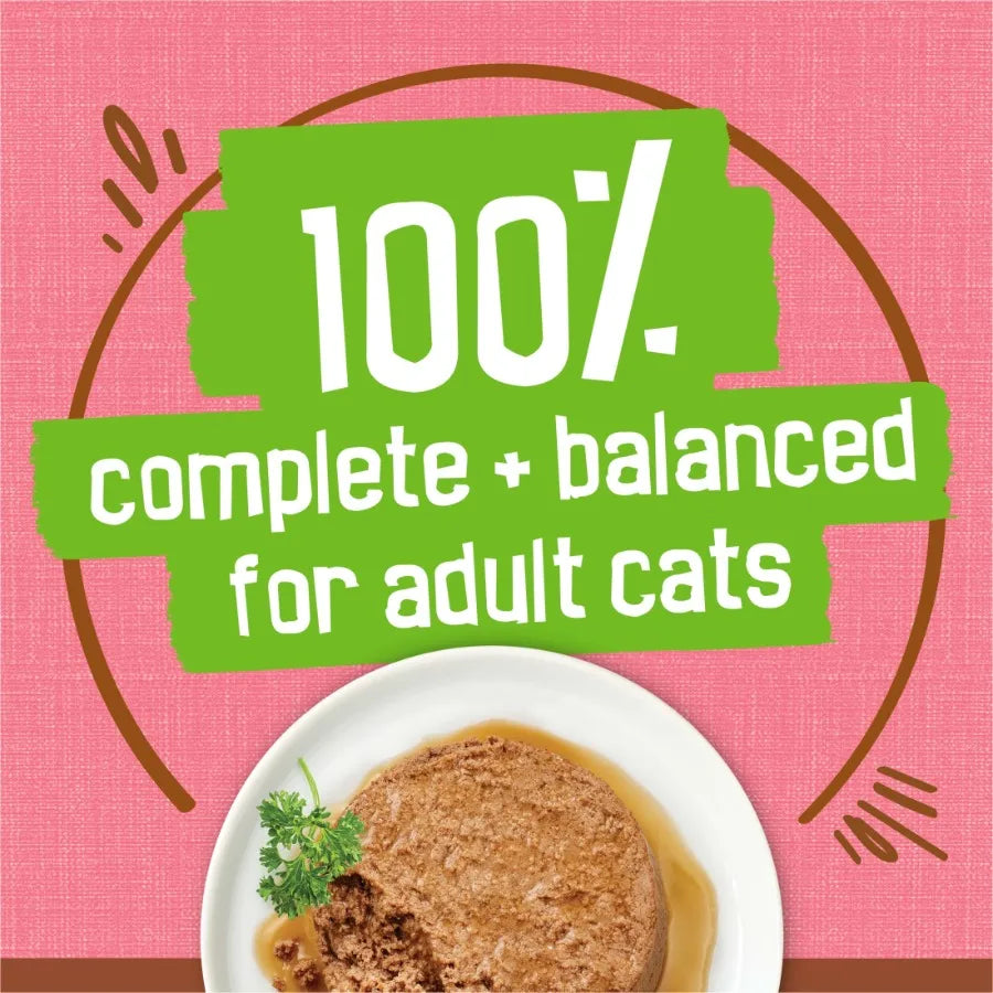 24 pack Extra Gravy Pate With Salmon, Wet Cat Food, 5.5 oz Cans