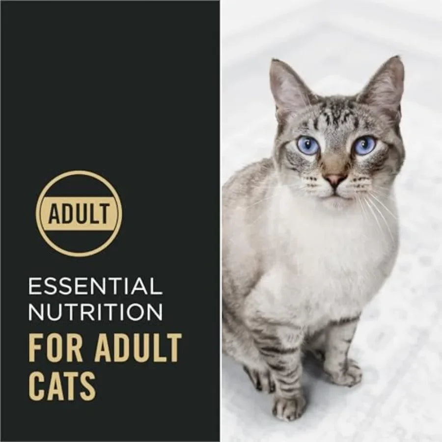 High Protein Cat Food With Probiotics for Cats, Chicken and Rice Formula - 7 lb. Bag