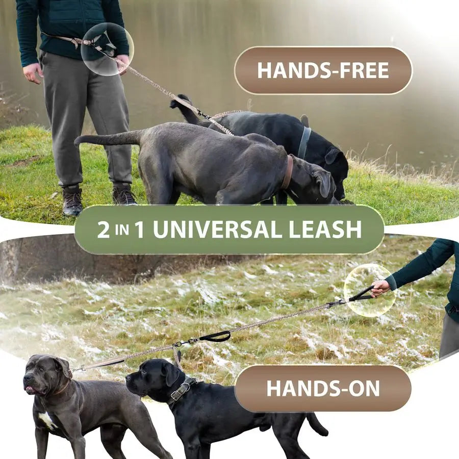 Hands Free Double Dog Leash Dual Leash for Medium and Large Breeds Lead for 2 Dogs with Padded Handles, Reflective Stitches