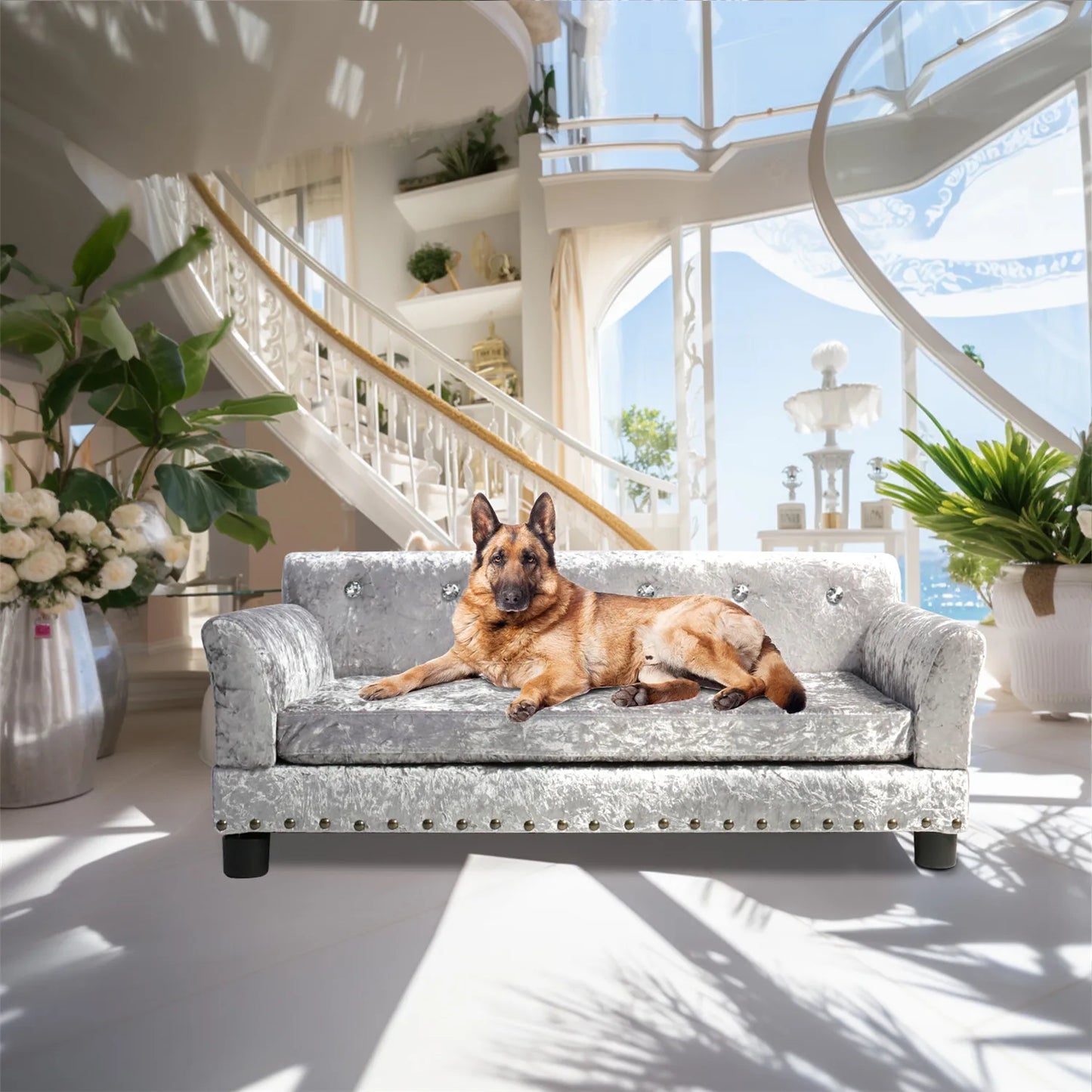 Large Dog Sofa Bed Deluxe Tufted Elevated Jumbo Dog Couch Bed Made Of Velvet - Pet Giant Snuggle Sofa Lounger Memory Foam
