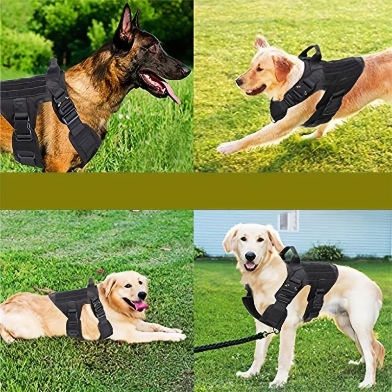 Tactical Dog Vest & Leash Suitable for Medium to Large Dogs - Outdoor Combat Harness Vest with Belt System, 5-Foot Leash, Tactic
