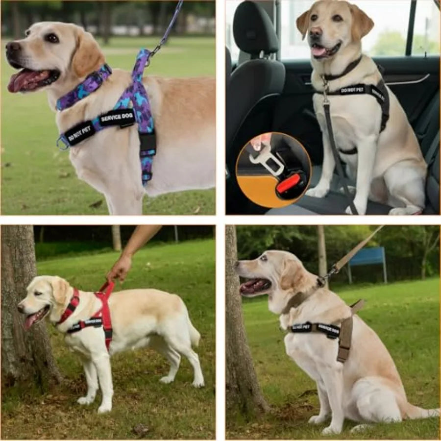 No Pull Dog Harness, Heavy Duty Collar and Leash Set-Leash with Double Handle and Car Seatbelt Clip-Easy Control for Walking
