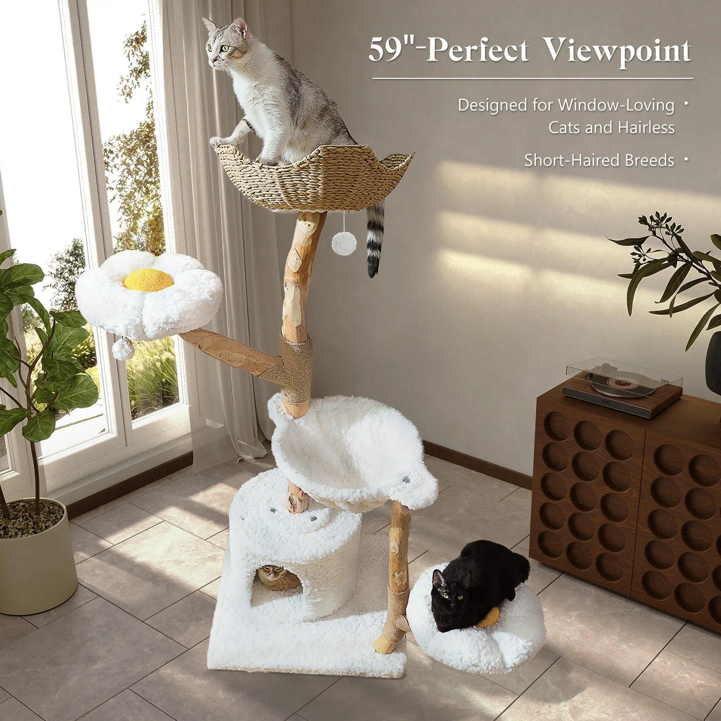 Solid Wood Cat Tree Modern Cat Tower with Spacious Cat Condo, Flower Perches, Fun Pompom, Double Comfort Perfect for Indoor Kittens