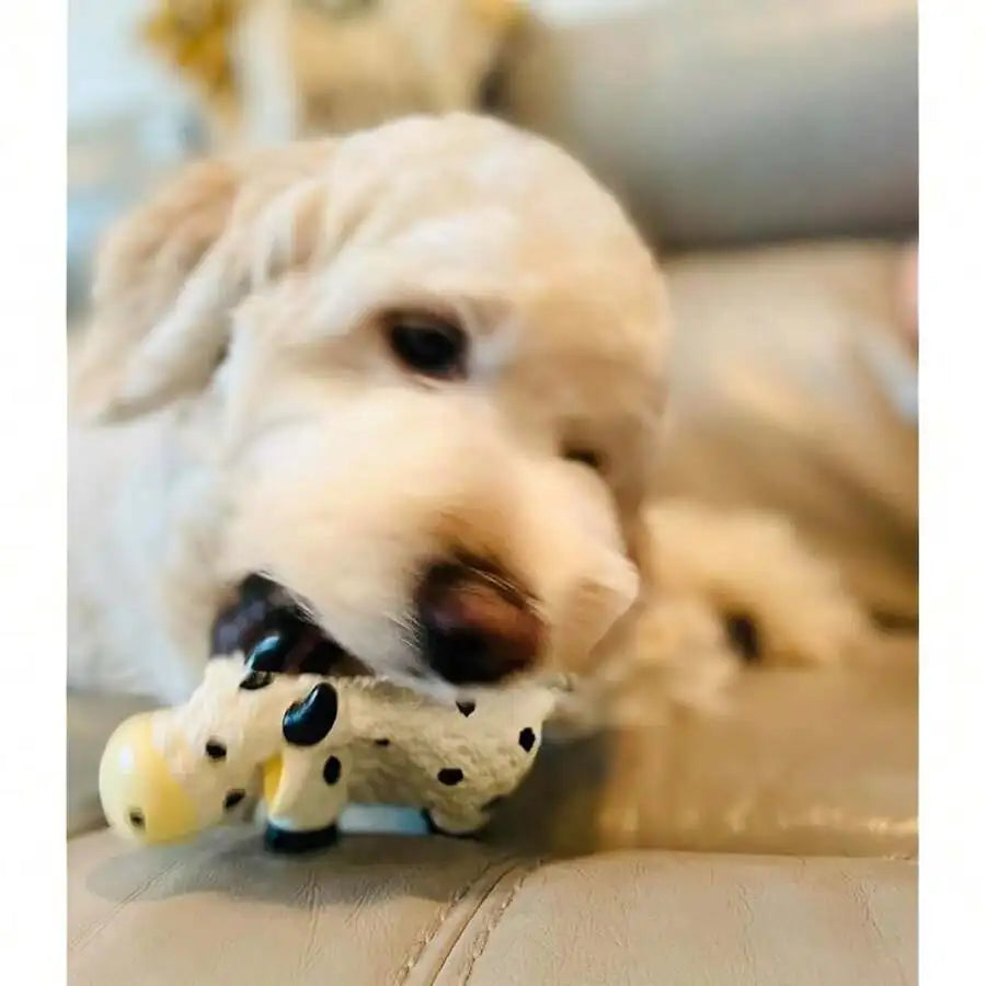 Squeaky Dog Chew Toys Set: 2 Cow Shapes With Rope, Grooming Brush And Lint Roller